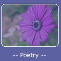 Expressing life through poetry